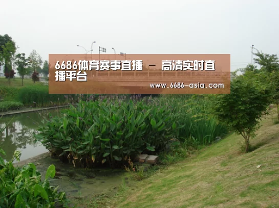 案例展示四(图1)
