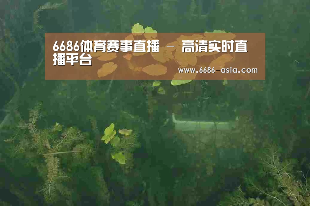 案例展示三(图1)