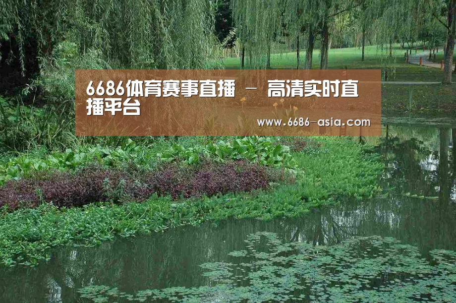 案例展示一(图1)
