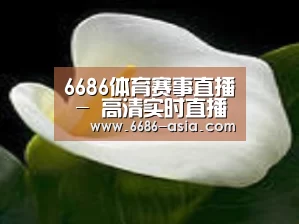 产品名称七