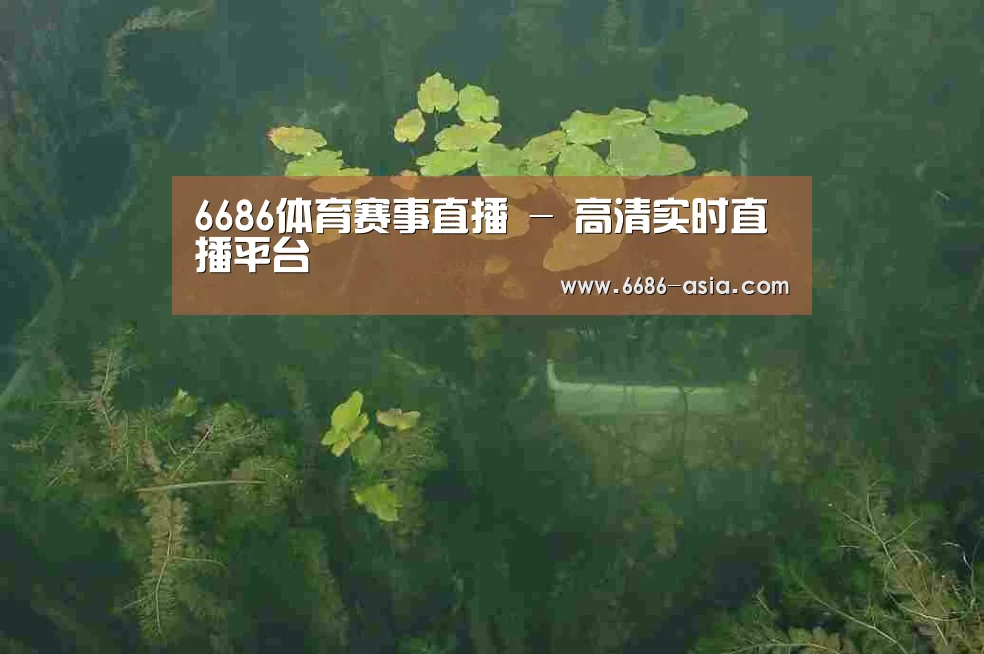 案例展示三