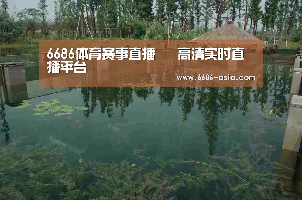 案例展示二