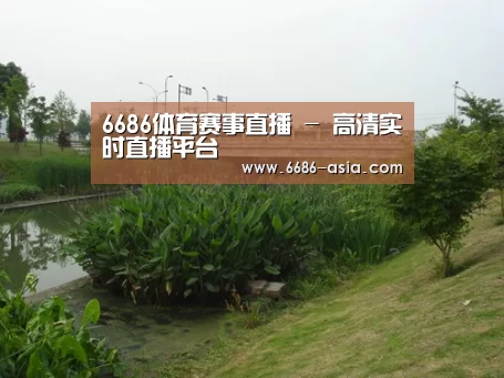 案例展示四
