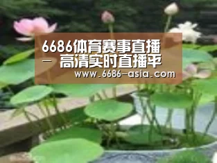 产品名称一