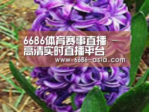 产品名称八