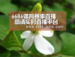 产品名称三