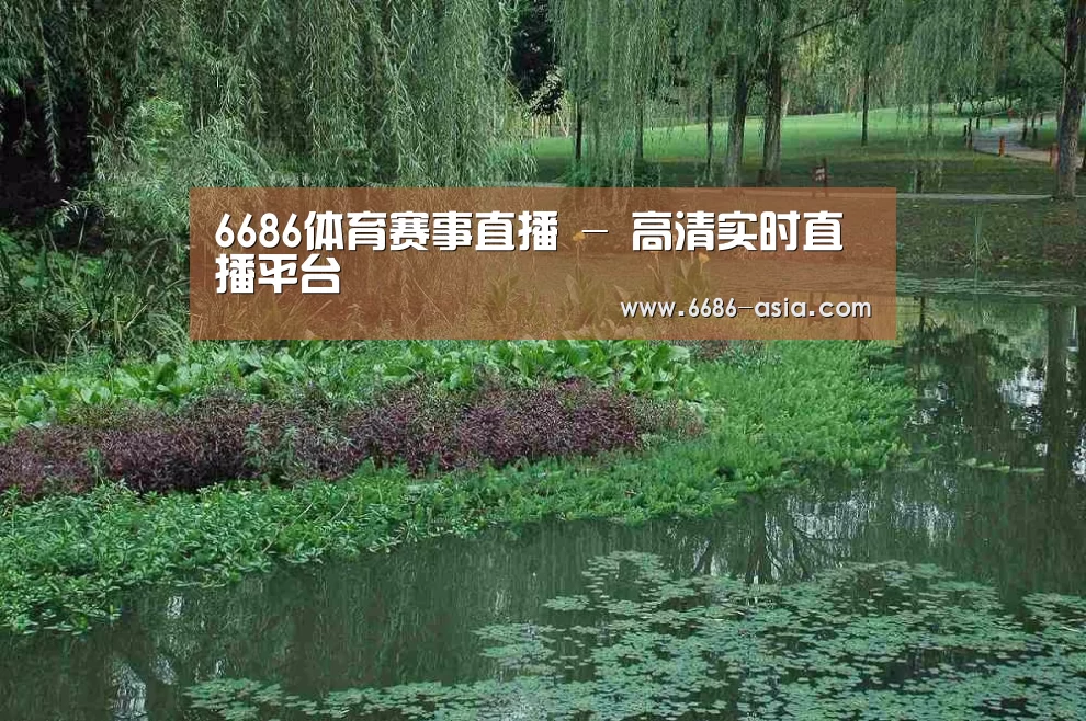 案例展示一