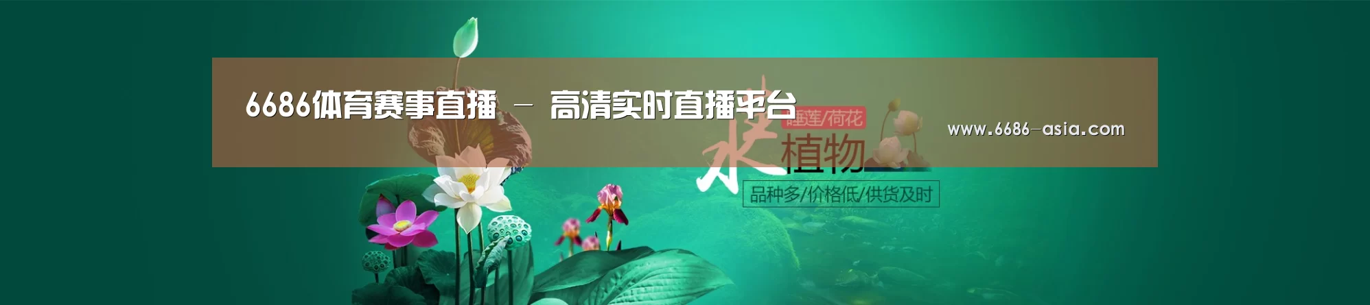 鲜花水草花卉网站模板