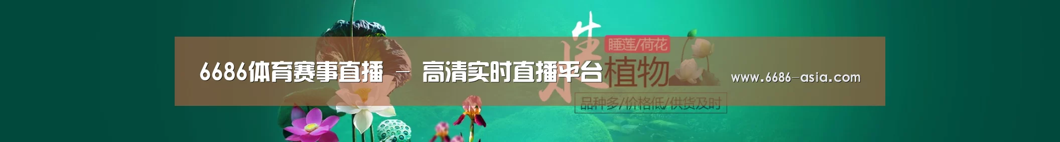 鲜花水草花卉网站模板