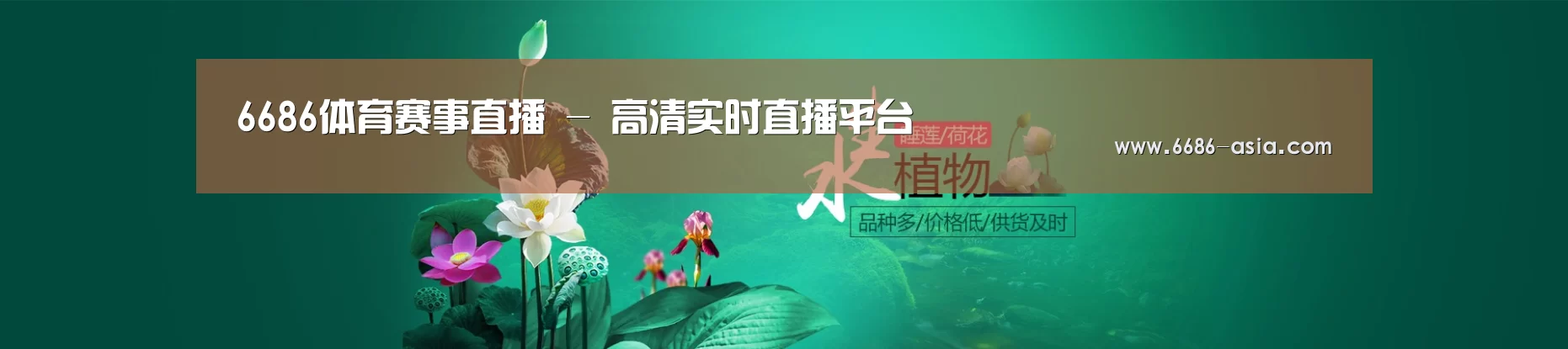 鲜花水草花卉网站模板