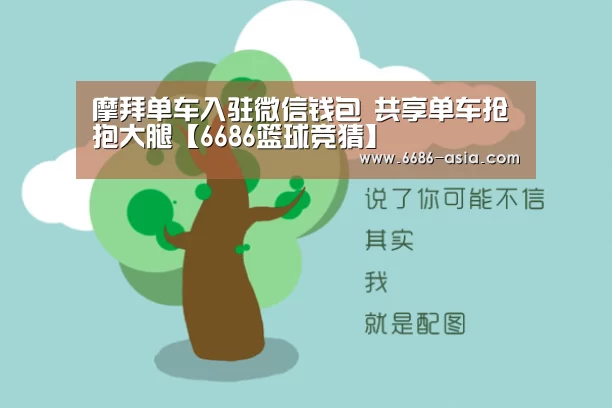 6686最新地址