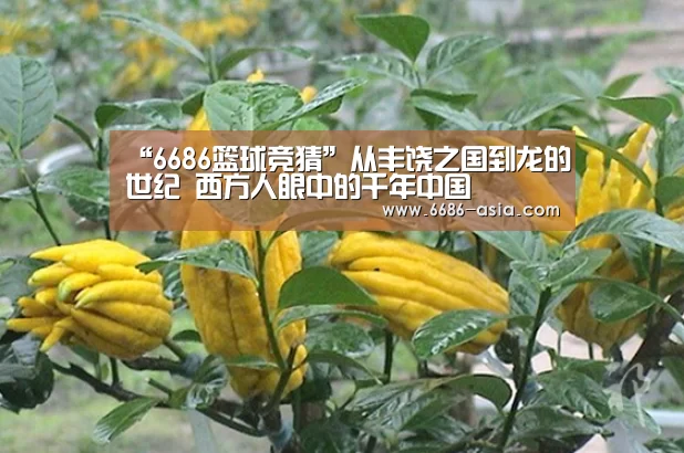 “6686篮球竞猜”从丰饶之国到龙的世纪 西方人眼中的千年中国(图1) 6686最新地址