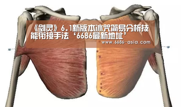 6686最新地址