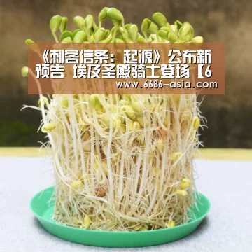 6686最新地址