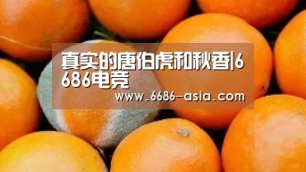 6686最新地址